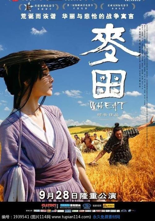 仿制假新罕布什尔州